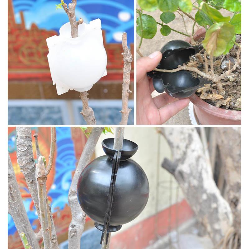 Plant Propagation Capsule for Air Layering