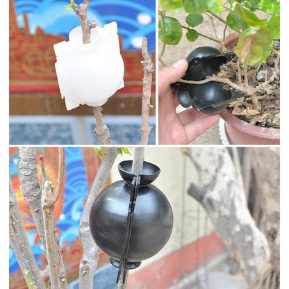 Plant Propagation Capsule for Air Layering