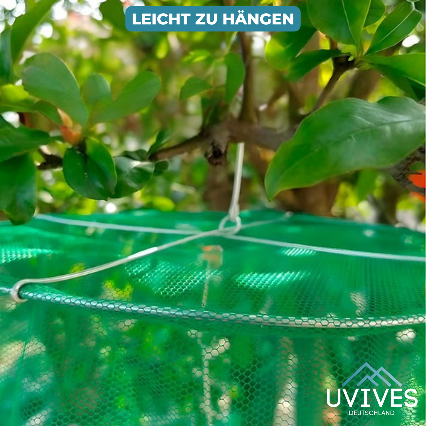 Fly Trap – Say Goodbye to Flies in Home and Garden