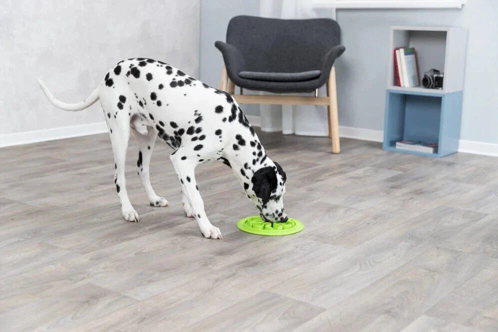 Slow Feed Silicone Mat for Healthy Dog Meals
