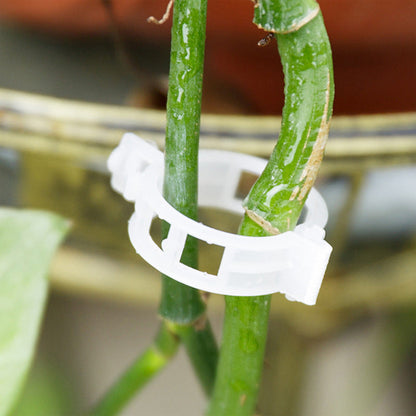 Support Clips for Thriving Plants