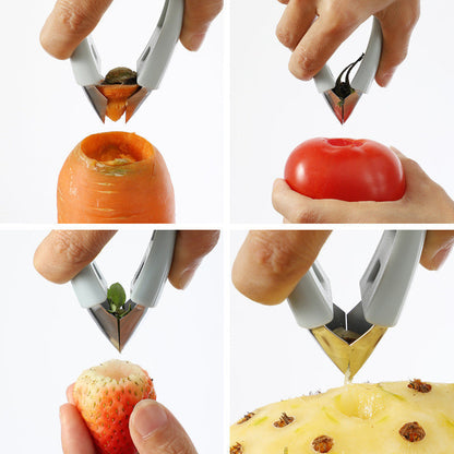 Multi-Purpose Fruit Tweezers for Seed Removal