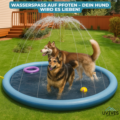 50% OFF | Keep Your Loyal Companion Cool on Hot Summer Days!