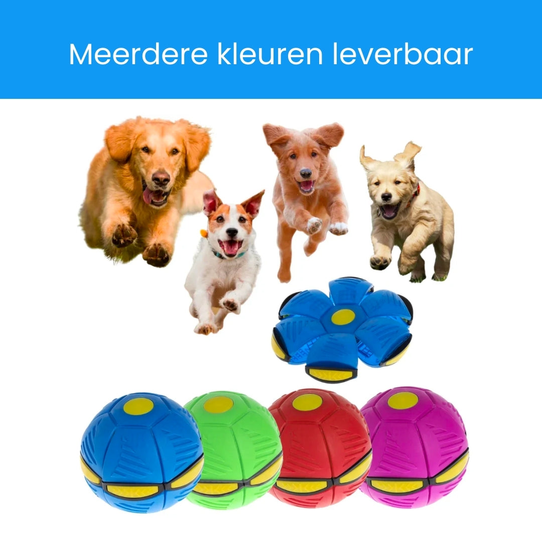 Endless Playtime Fun for Your Beloved Furry Companion