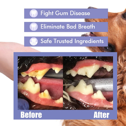 Revitalizing Spray for Pet Fresh Breath