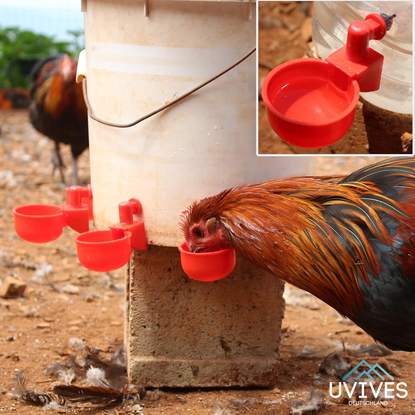 3 for 3 FREE | AquaNest – Clean Water for Happy Pets