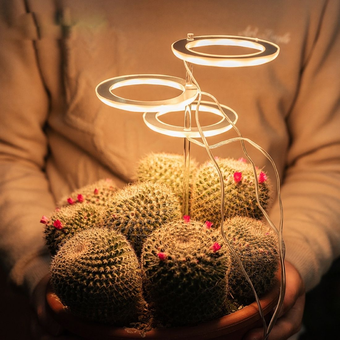 Indoor Plant Growth Light – Last Day Discount