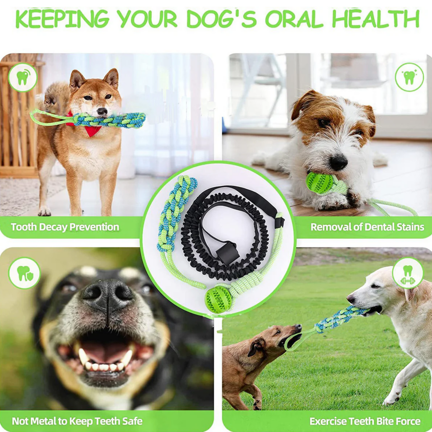 Endless Bouncing Fun for Your Dog - Springball Pro