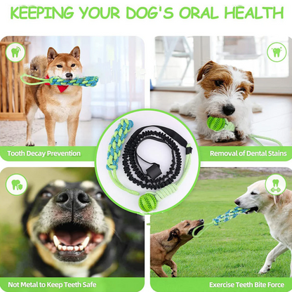 Endless Bouncing Fun for Your Dog - Springball Pro