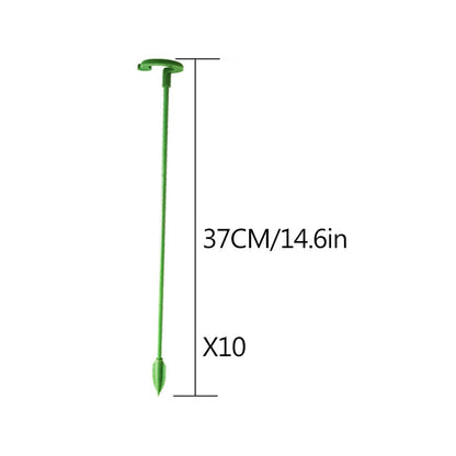 Elegant Stem Support for Thriving Plants