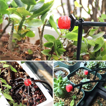Precision Plant Irrigation System - AquaFlow Sprinkler and Dripper
