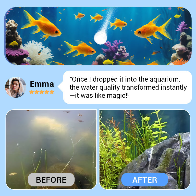 Aquatic Clarity Tablets for Crystal-Clear Water
