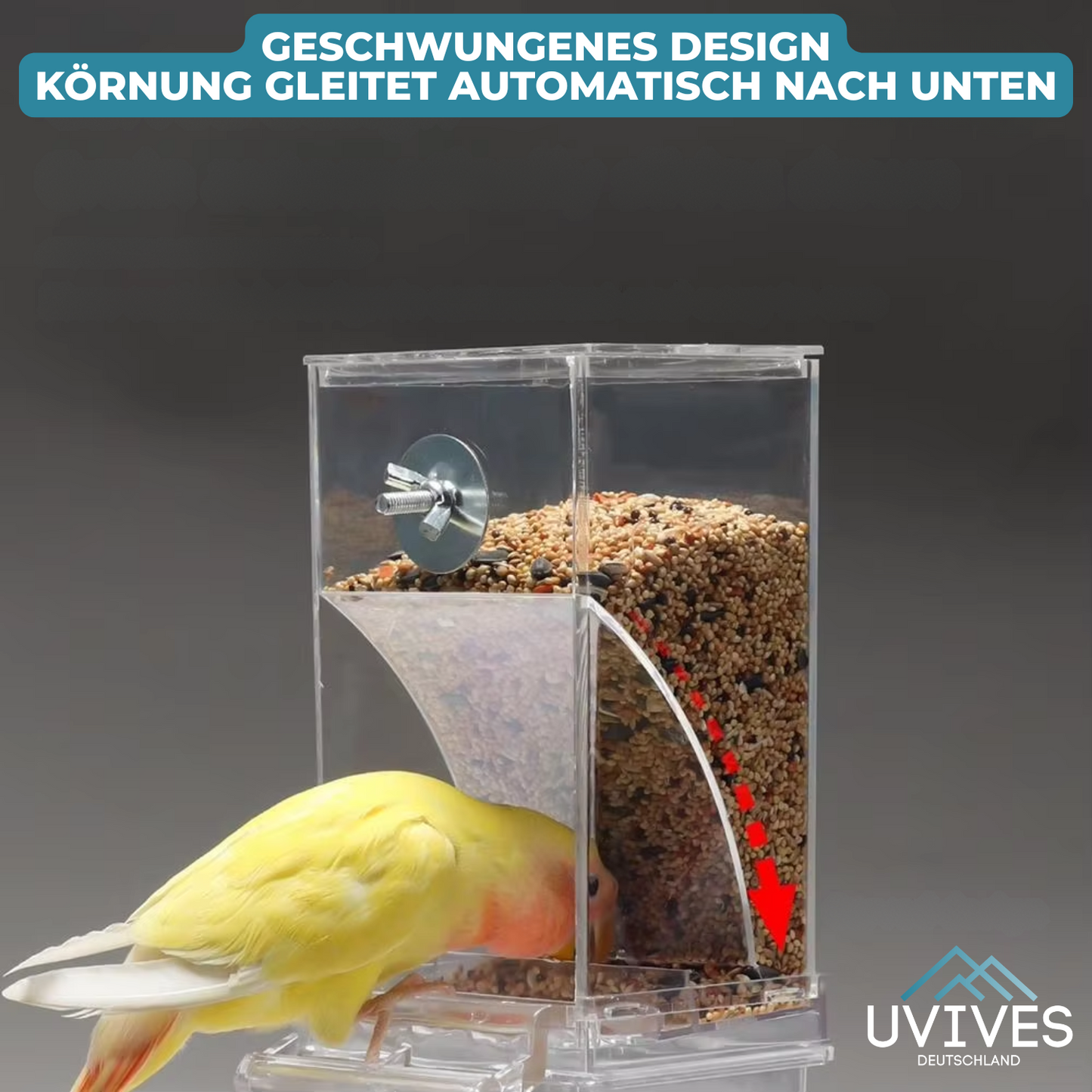 Bird Feeder – Clean Feeding, Happy Birds, Reduced Effort
