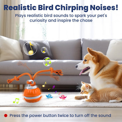 PawiBall – Keep Your Dog Happy and Engaged!