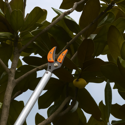 Effortless Cutting Tool for Tall Hedges