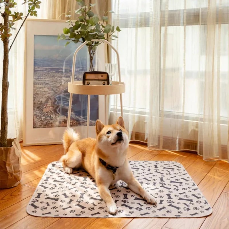 Leakproof Pet Pads to Keep Your Floors Spotless
