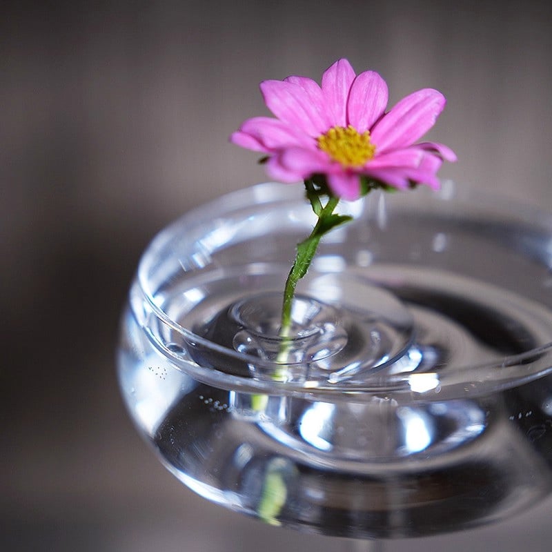 Elegant Flower Holder – Keep Your Blooms Upright and Beautiful