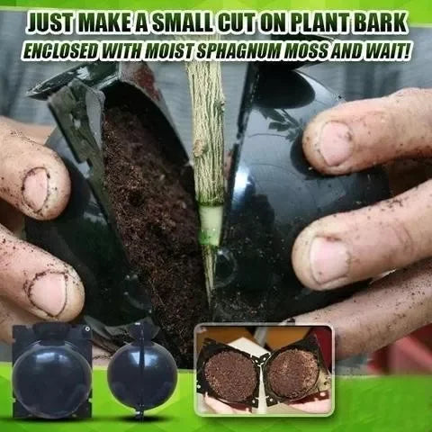 Grow Box for Plant Roots - Buy 3, Get 2 Free [Last Day Discount]