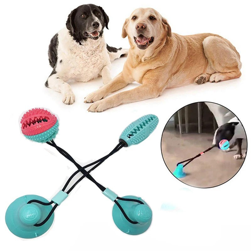 PawSuction — Keep Your Dog Engaged, Happy, and Safe All Day
