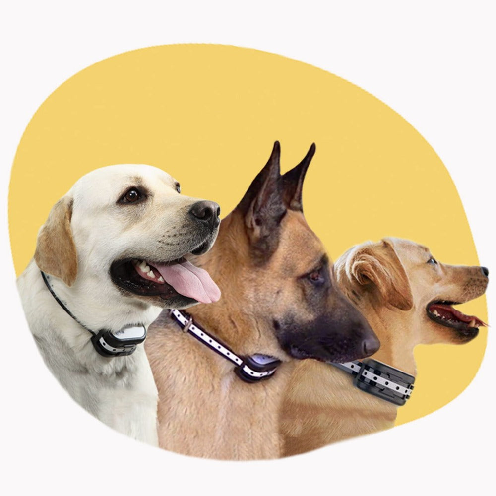 Wireless Dog Fence and Training Collar | Humane Correction Methods | Rechargeable & Waterproof