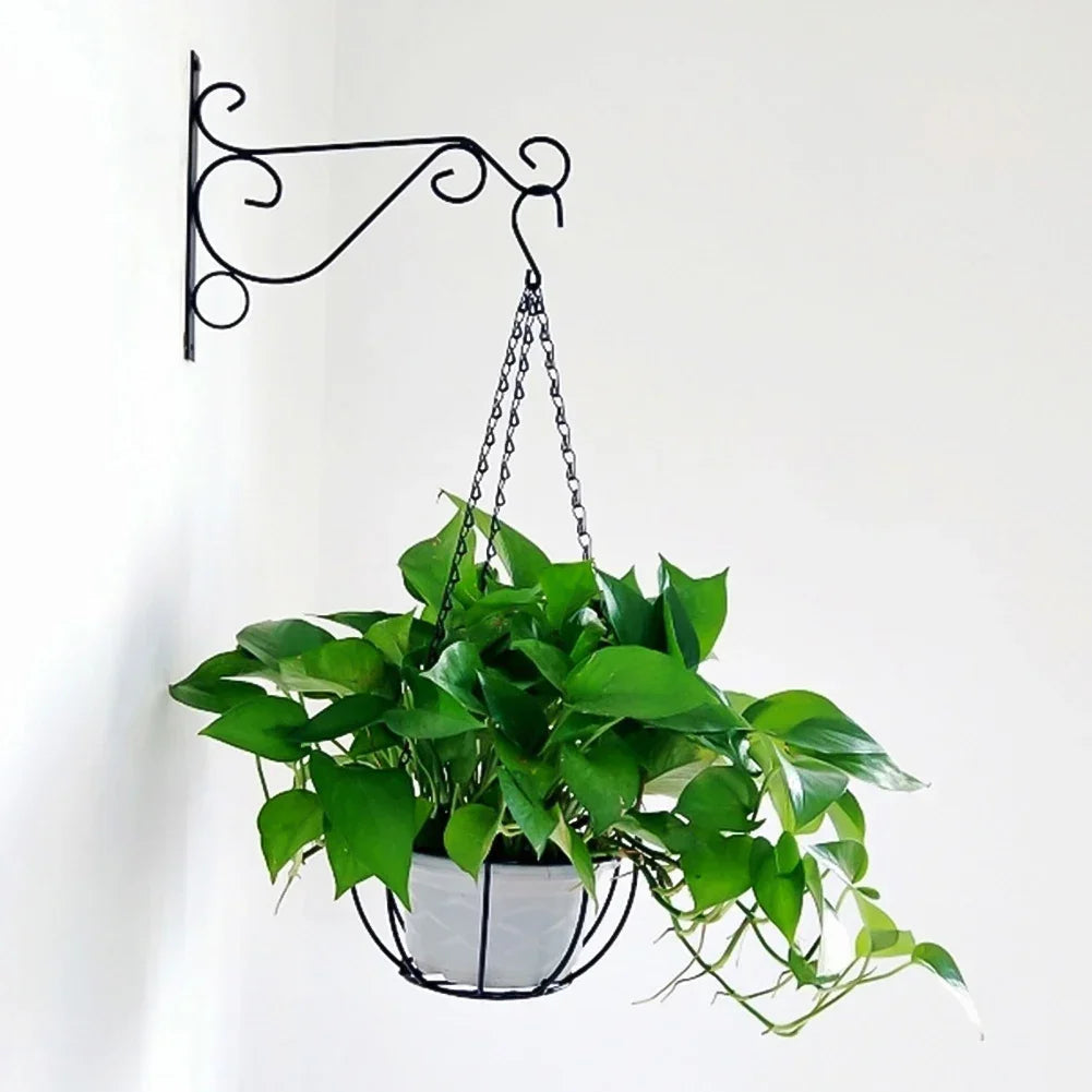 Heavy-Duty Metal Wall Hooks for Plant Hanging | Black Coated | Ideal for Lanterns & Baskets