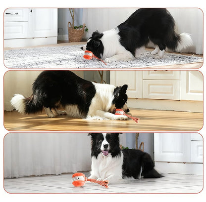 Keep Dogs Active, Engaged, and Happy All Day Long