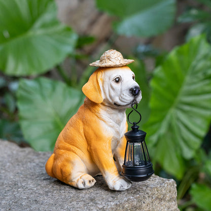 Illuminate Your Garden with Lifelong Solar Magic Lights