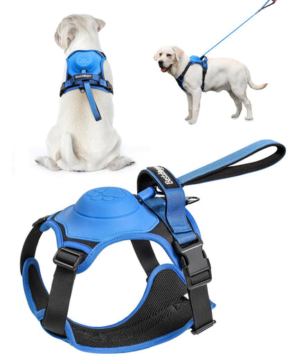 Dog Harness with Retractable Leash Set – All-in-One Solution