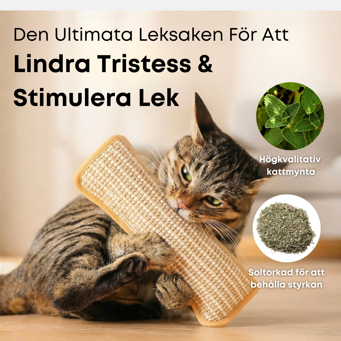 Cat Toy – Keeps Cats Active, Happy and Protects Furniture