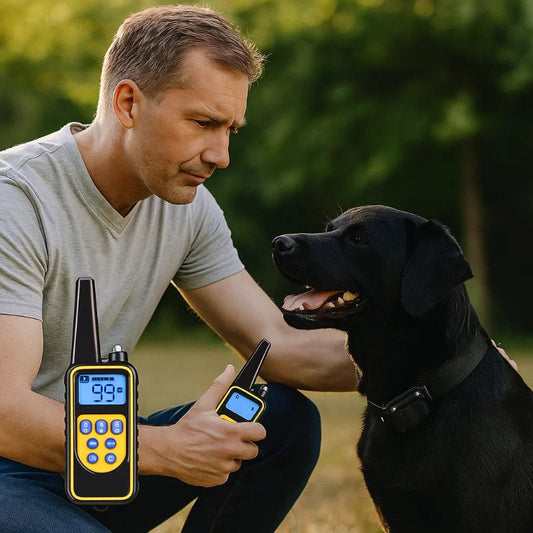 Control Two Dogs Up to 800m Anywhere with This Device