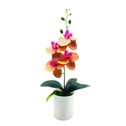 Effortless Elegance with Realistic, Low-Maintenance Orchids