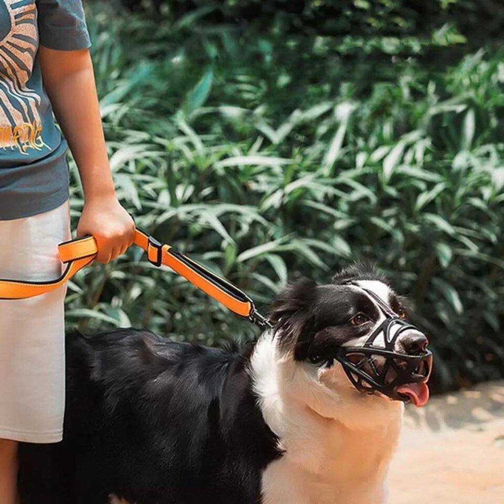 Calm Dogs Instantly, Prevents Safe Biting and Barking