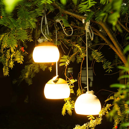 Reliable Outdoor Lantern for All-Night Illumination