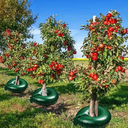 Efficient Deep Root Watering for Healthy Trees