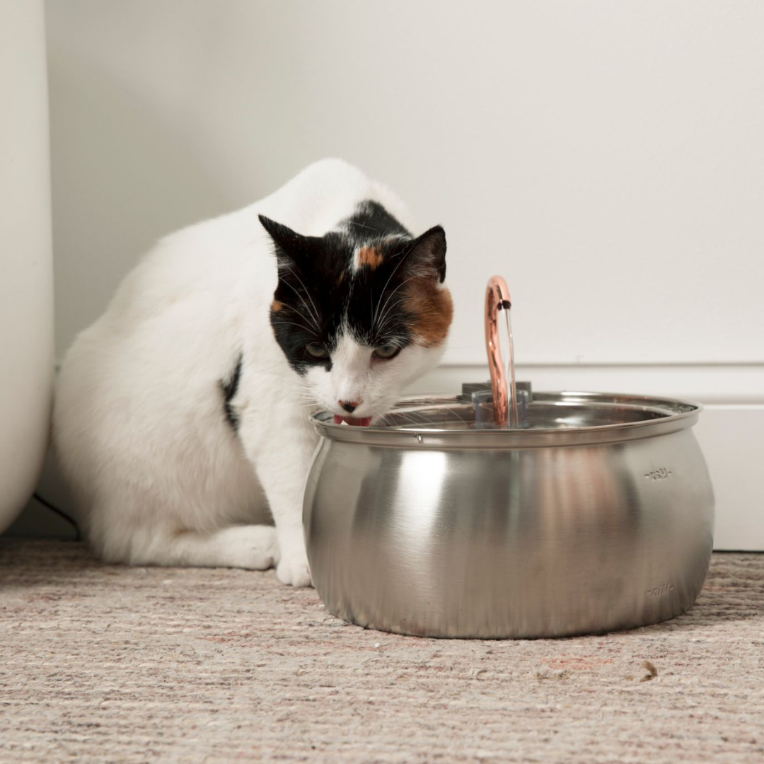 4L Smart Pet Water Dispenser with Stainless Steel Design