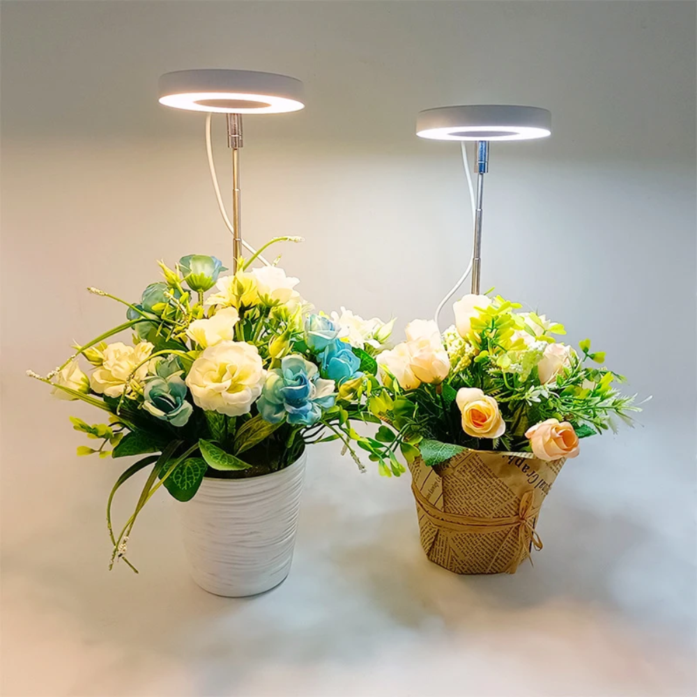 Keep Your Houseplants Healthy and Lively Year-Round