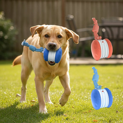 Keep Dogs Active, Engaged, and Happy All Day Long