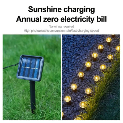 Solar LED Garden Path Lights | 15/30 LEDs | 8 Modes | IP65 Waterproof