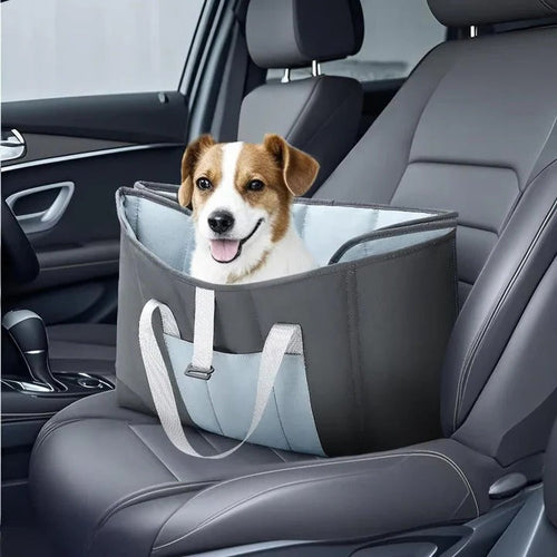 Stay Organized and Prepared for Any Adventure with Your Pet