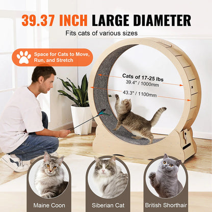 Cat Food Grinder and Mixer