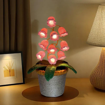 Cozy Night Comfort with Eternal Glow