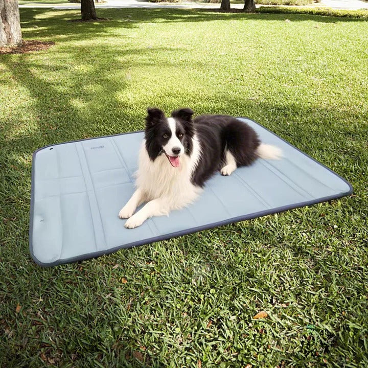Stay Organized and Prepared for Any Adventure with Your Pet