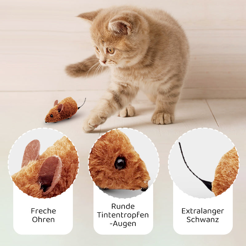 Buy 2 Get 1 Free | CatPlay – Chase, Play, and Enjoy – Fun for Your Cat!