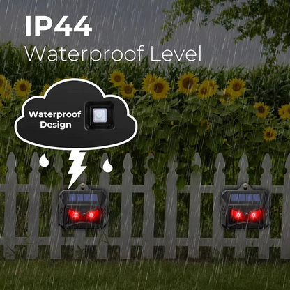 Buy One Get One Free | Instant Garden Pest Protection, Chemical-Free