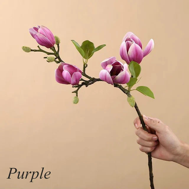 Effortless Year-Round Freshness Without Water or Sunlight