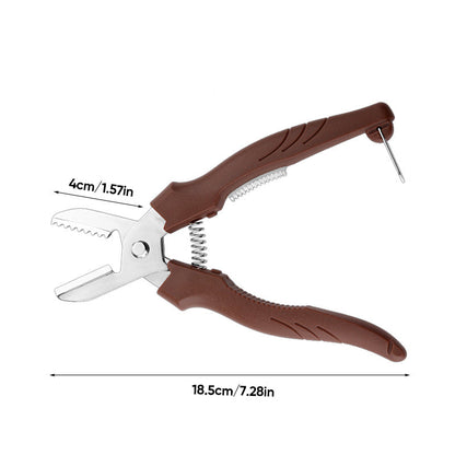 Walnut and Chestnut Shell Opener Tool
