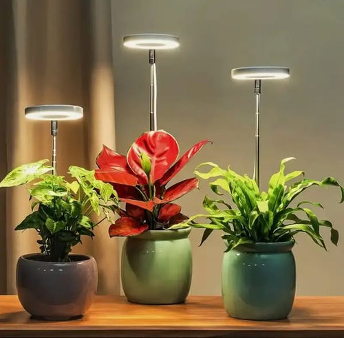 Full Spectrum Plant Lamp with Adjustable Stand - Last Day Discount