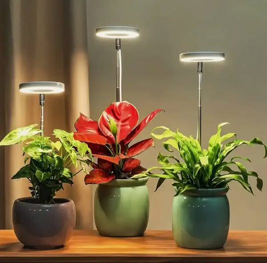 Full Spectrum Plant Lamp with Adjustable Stand - Last Day Discount