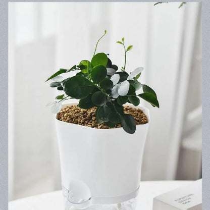 Optimal Plant Watering System for Hassle-Free Irrigation