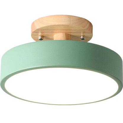 Contemporary LED Ceiling Light Fixture